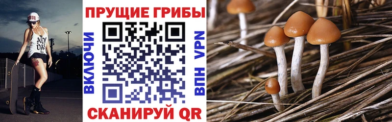 Галлюциногенные грибы Psilocybine cubensis  наркота  Игра 